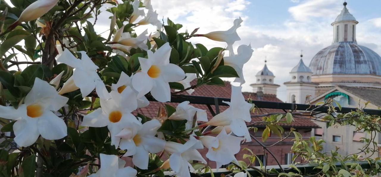 Una Favolosa Terrazza Nel Centro Di Roma Екстер'єр фото